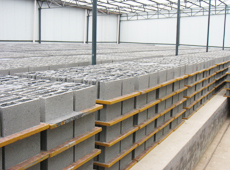 中南神箭砖机托板 全方位了解产品与市场